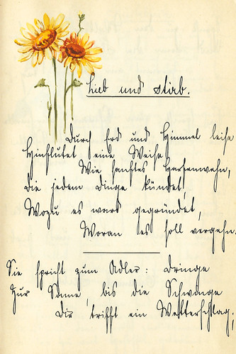 Poesie Poesiealbum Gedicht Zeichnung Blume Blumen alte deutsche Schrift Sütterlin Kurrentschrift Schönschrift