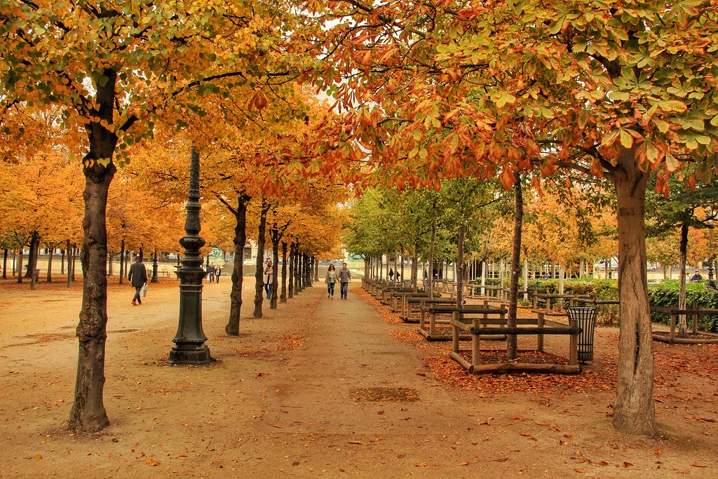 Autumn in Paris - Jardin des Tuileries, Paris