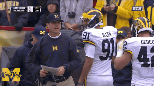 Image result for harbaugh michigan gif