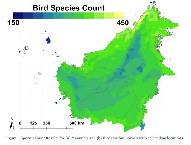 婆羅洲水壩範圍內的鳥類物種數算。