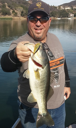 4.5 Pound Lake Sherwood Bass
