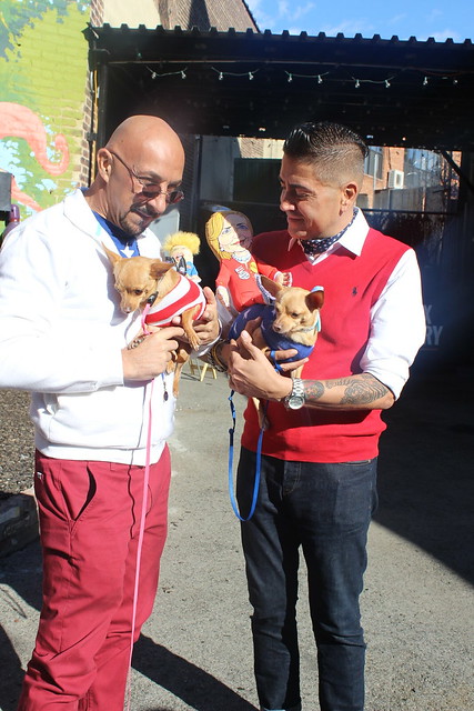 Bronx Pet Fair '16