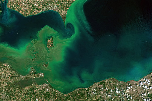 北美大湖之一的伊利湖，優養化現象嚴重。圖片來源：sjrankin（CC BY-NC 2.0）。