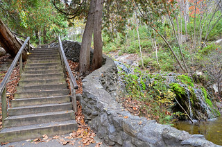 137 steps lead you down to the creek floor to walk under the bridge (or you can take the free shuttle down and back up) at Natural Bridge State Park, Va