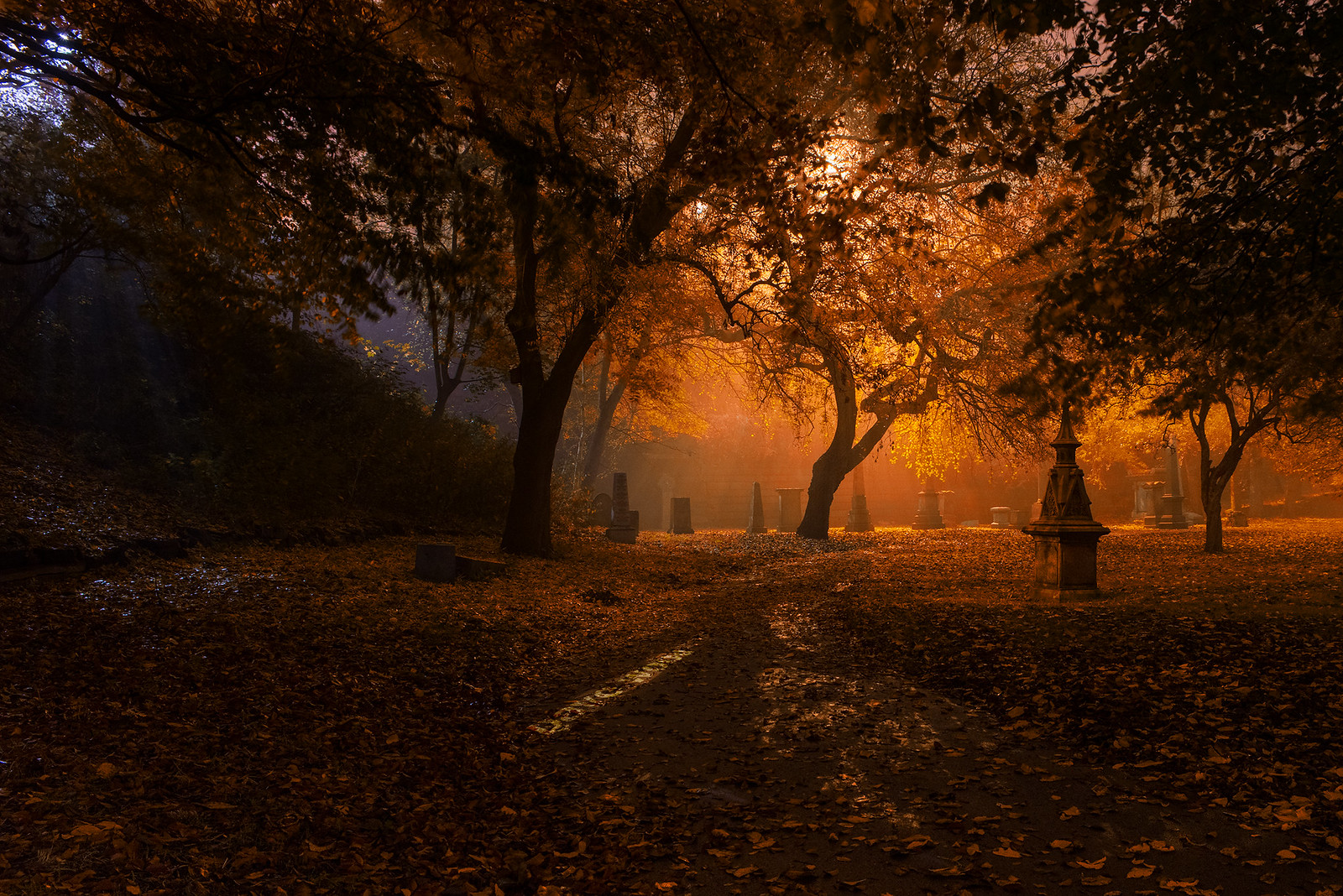 St James' Cemetery, Liverpool
