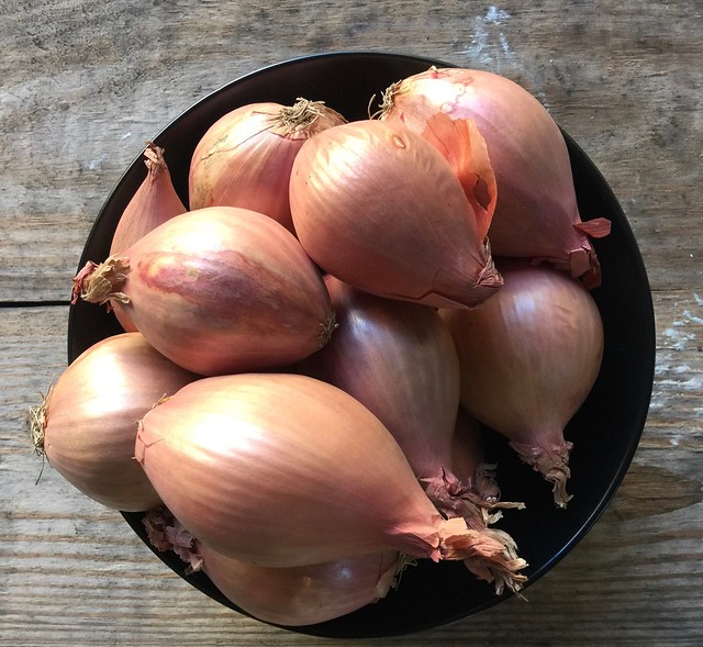 Onion and shallot confit