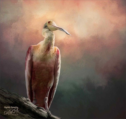Image of a Roseate Spoonbill