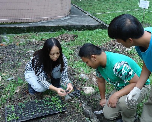 劉燕霖向學生示範如何播下菜苗。圖片提供：劉燕霖。
