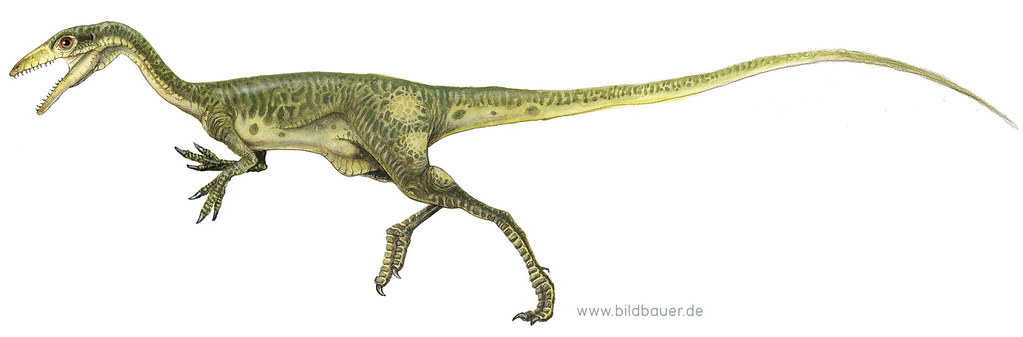 Voici le Compsognathus, plus petit dinosaure ayant jamais existé. 6795581013_edcf25c038_b