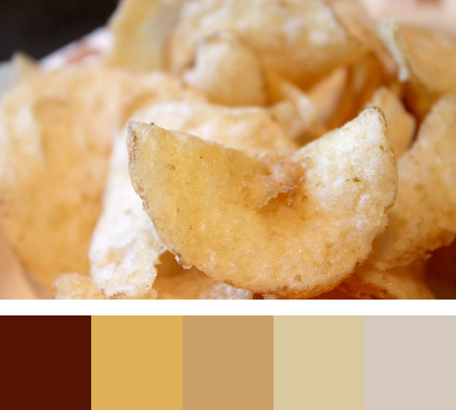 Color Standards Reference Chart for Potato Chip