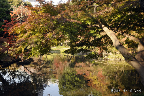 A day in Koishikawa Korakuen Garden 小石川後楽園