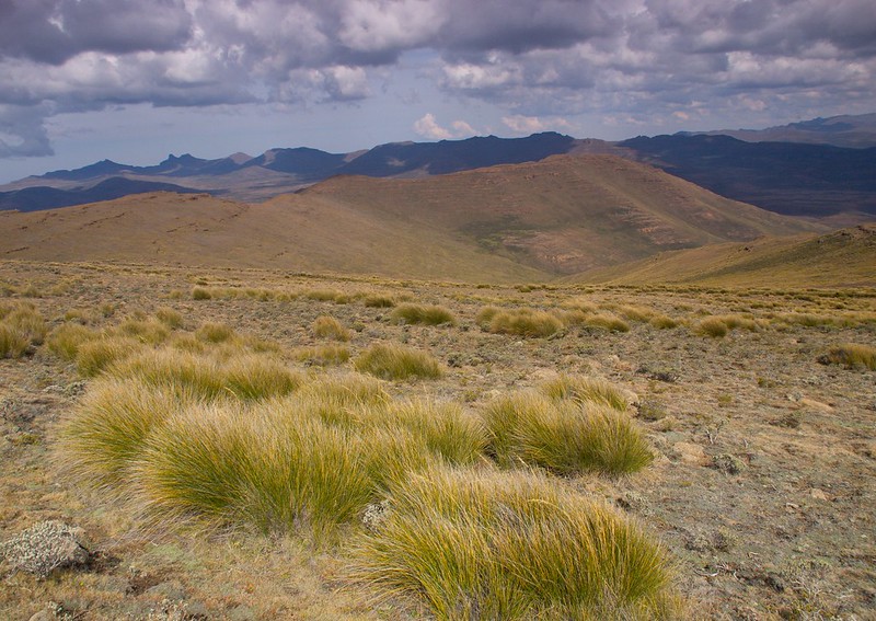 Hacia las alturas del Sani Pass y las montañas de Lesotho - Por el norte de SUDÁFRICA. Montañas, playas, fauna y sus gentes (15)