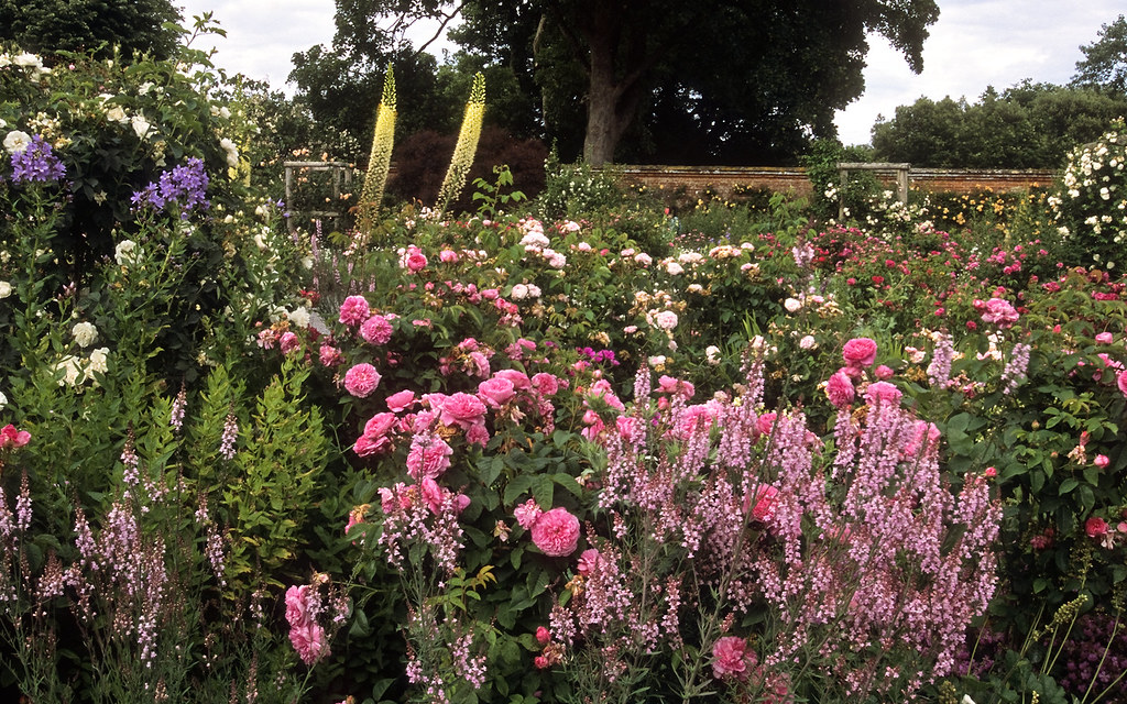 Mottisfont Abbey Rose Garden, Hampshire, UK | An outstandi… | Flickr