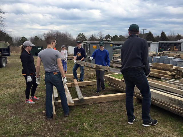 Bellermine University  students hard at work on replacing fencing.