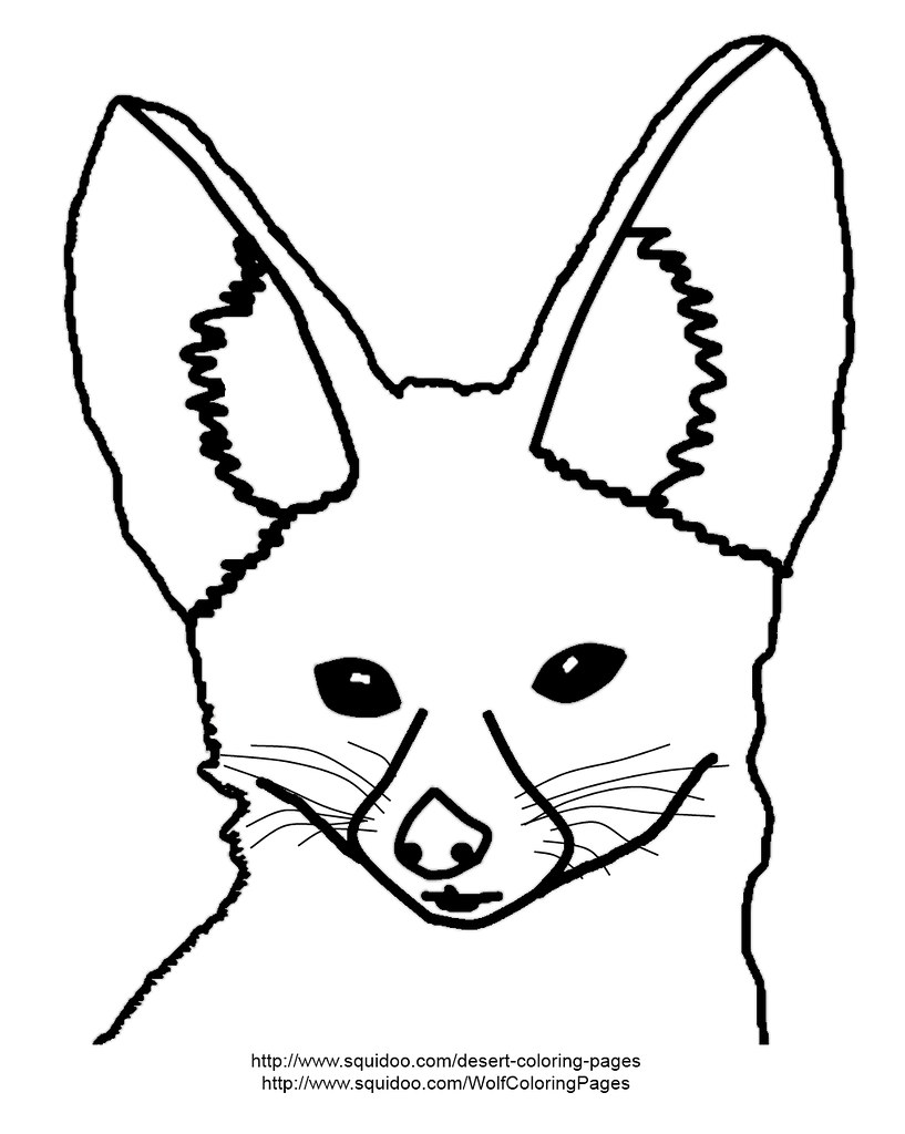 fennec fox coloring page | Fennec fox coloring page adapted … | Flickr