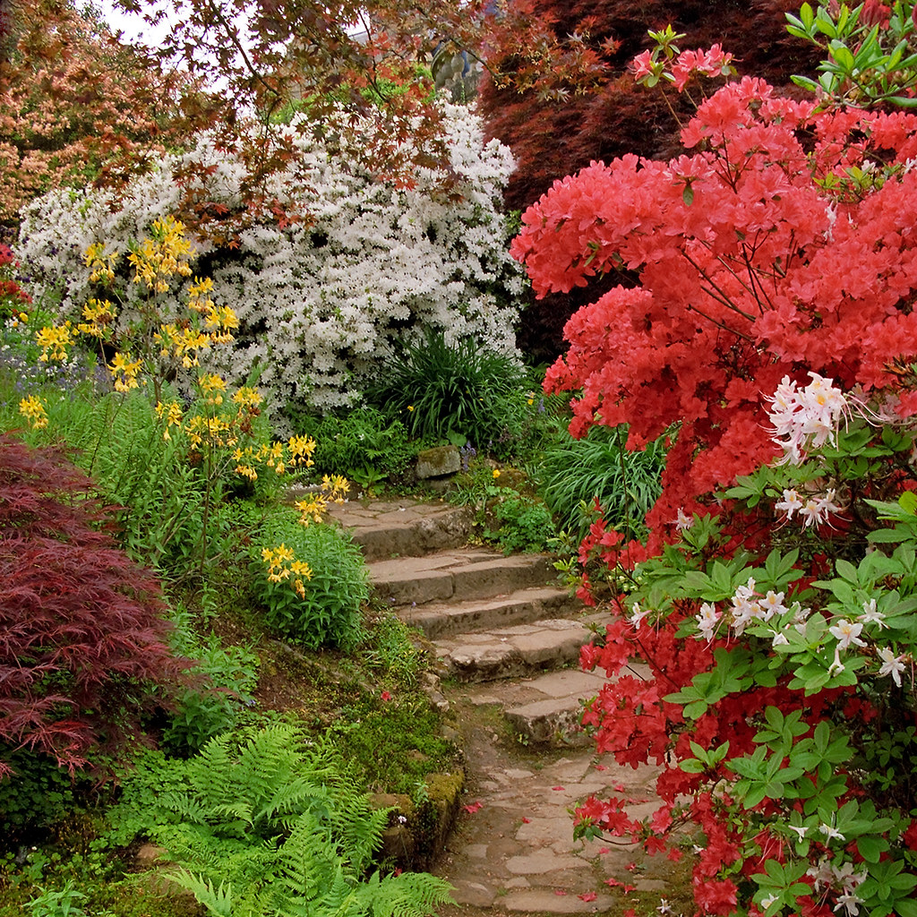 Scotney Castle Landscape Gardens, Kent, UK | Colorful azalâ€¦ | Flickr