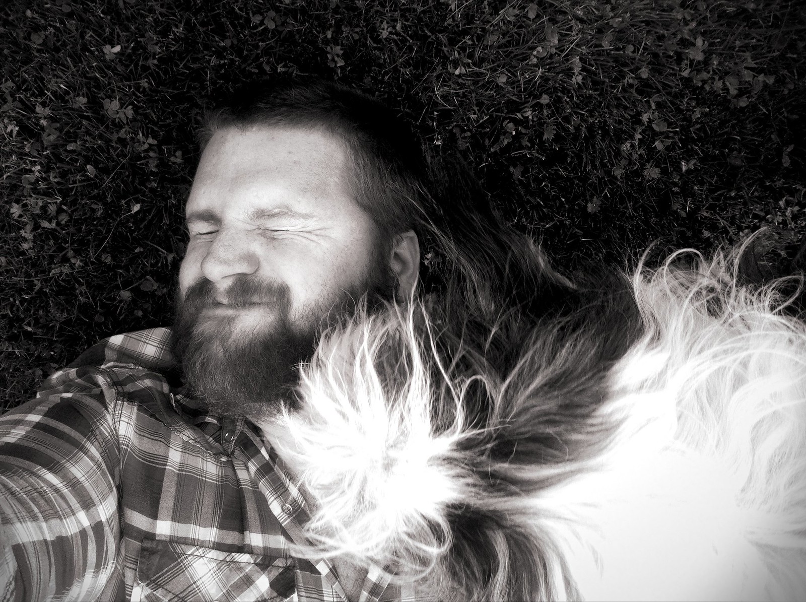 Pat laying on the grass being licked by his dog, Samantha