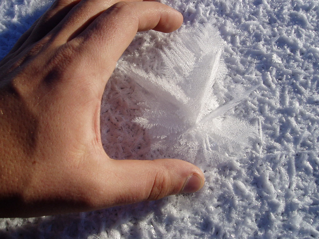 largest-snowflake-ever-this-is-a-huge-flake-found-on-the-l-flickr