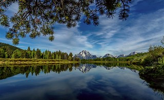 Oxbow Bend Reflections