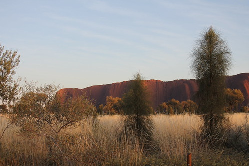 IMG 9862 Uluru Dreaming 2012