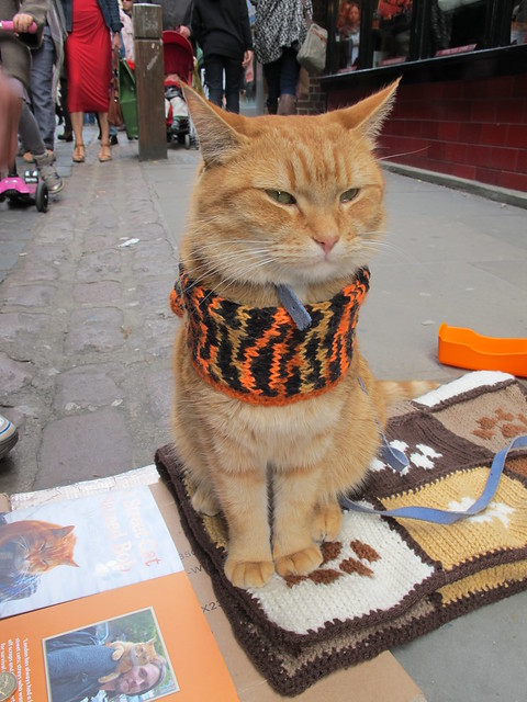 A Street Cat Named Bob (Cut Version)