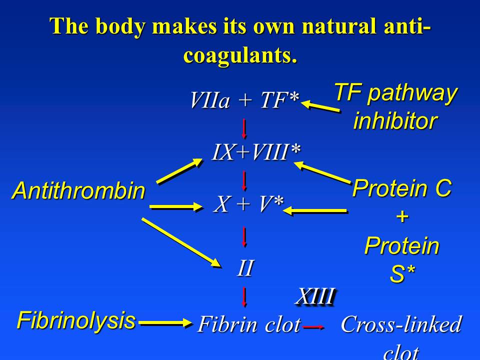 Anticoagulant - Natural Anticoagulants - Natural Information