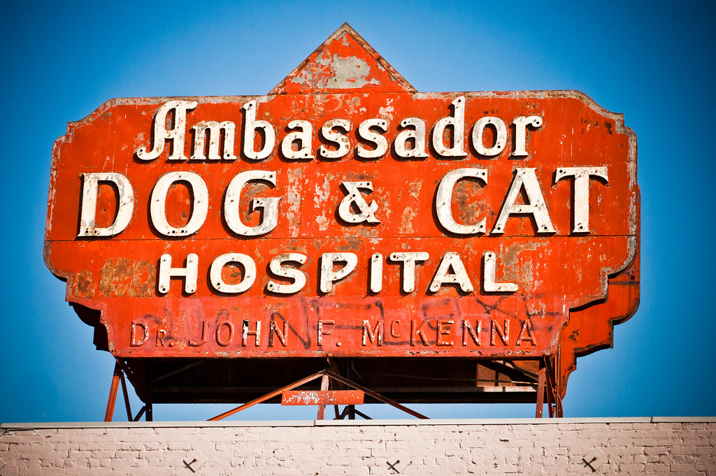 Ambassador Dog & Cat Hospital Since 1930. 3684 Beverly Blv… Flickr