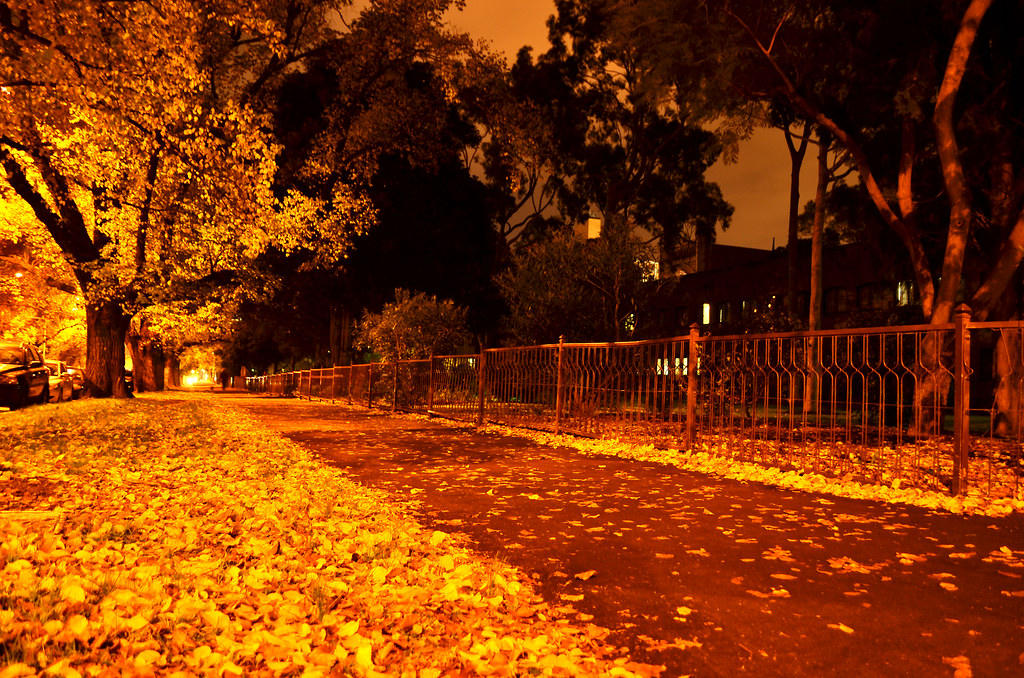 Autumn Night | phunnyfotos | Flickr
