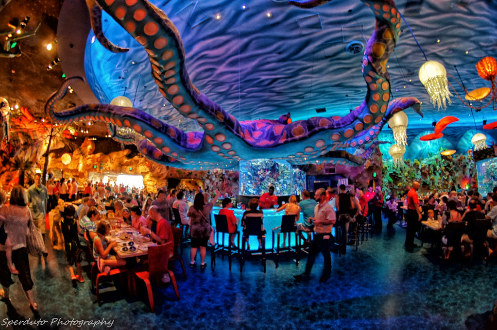 T-Rex Restaurant Fish eye | Fish eye picture of the bar area… | Flickr