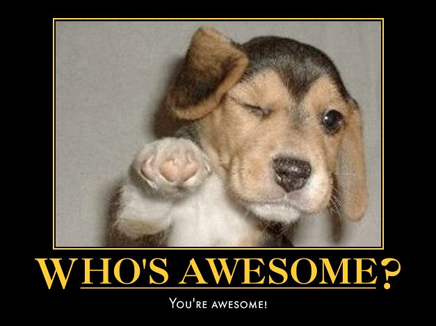 Who's Awesome? You're Awesome! | Not a new meme, but I wante… | Flickr