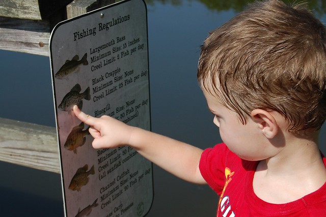 Bear Creek Lake is a perfect place to bring the kids fishing. - at Bear Creek Lake State Park, Virginia