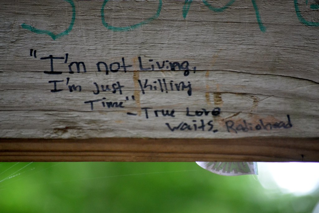 I m not living i m just killing time true love waits flickr