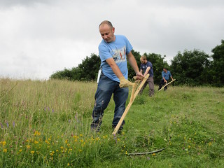 Learn scything in Cheshire