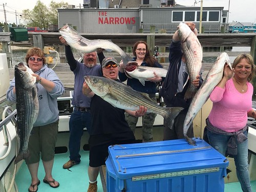 People holding striped bass