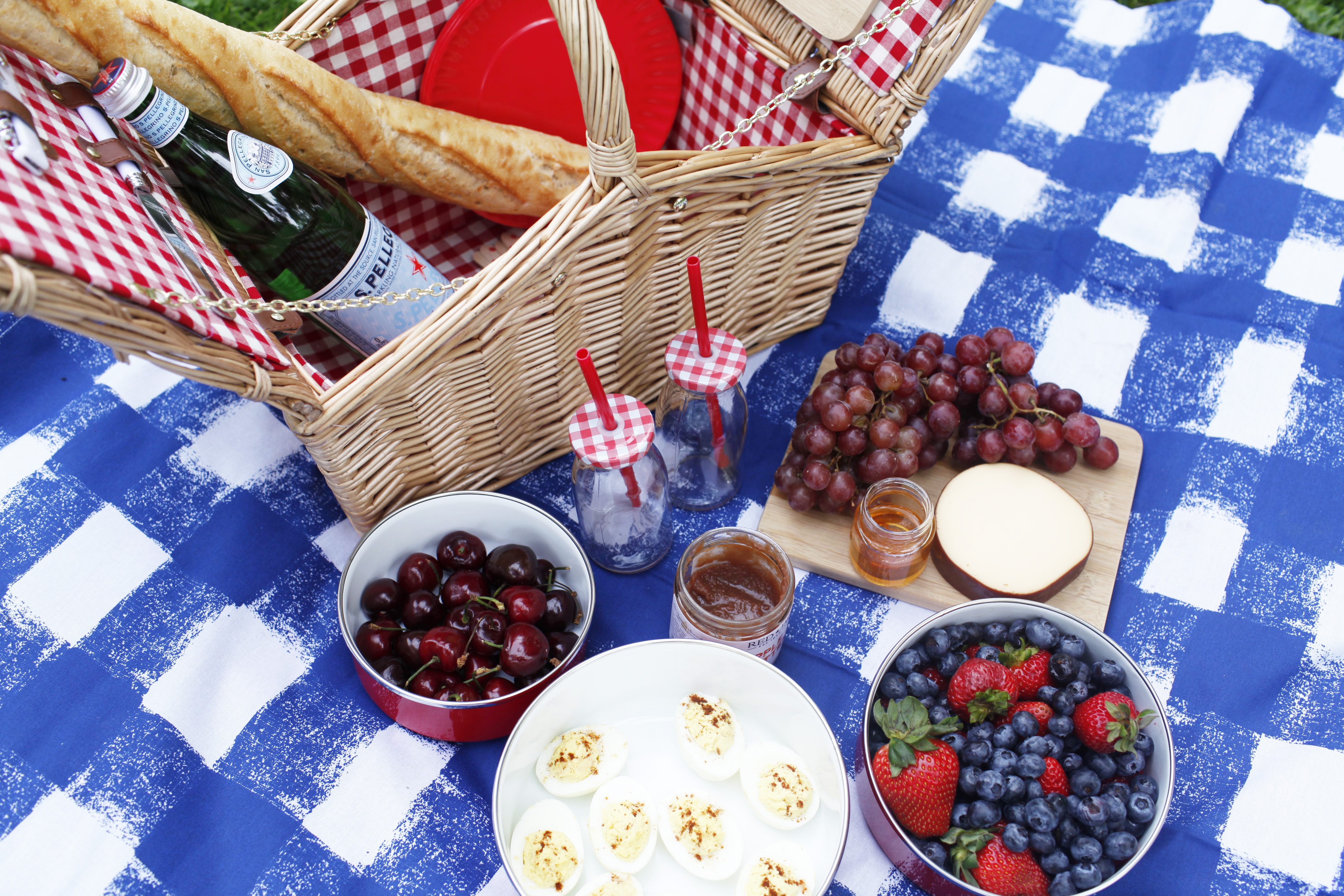 picnic in the park with picnic blanket and picnic basket in Central Park during the Summer