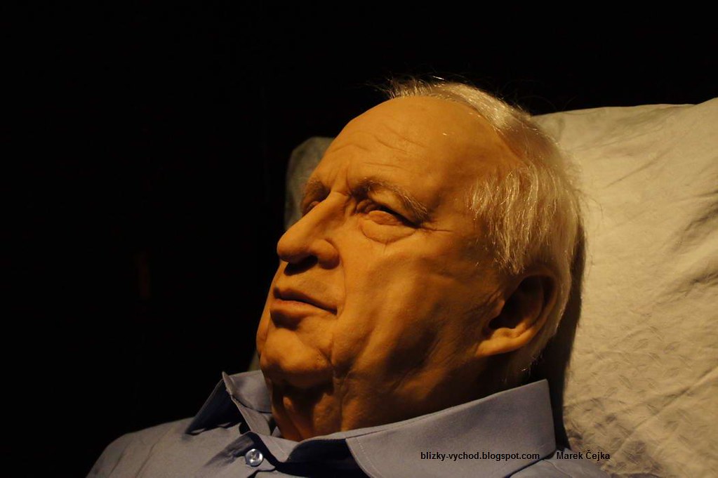 Braslavsky Noam Ariel Sharon In A Coma 2010 With Reference To Death