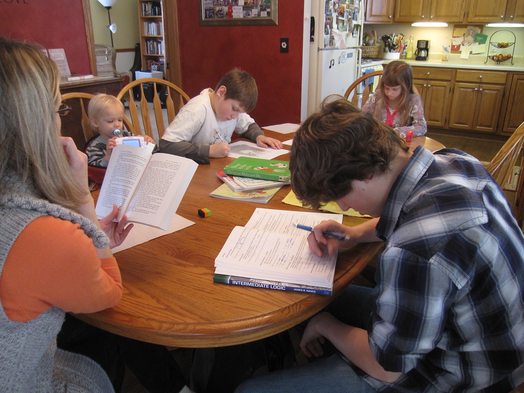 the disadvantages of homeschooling