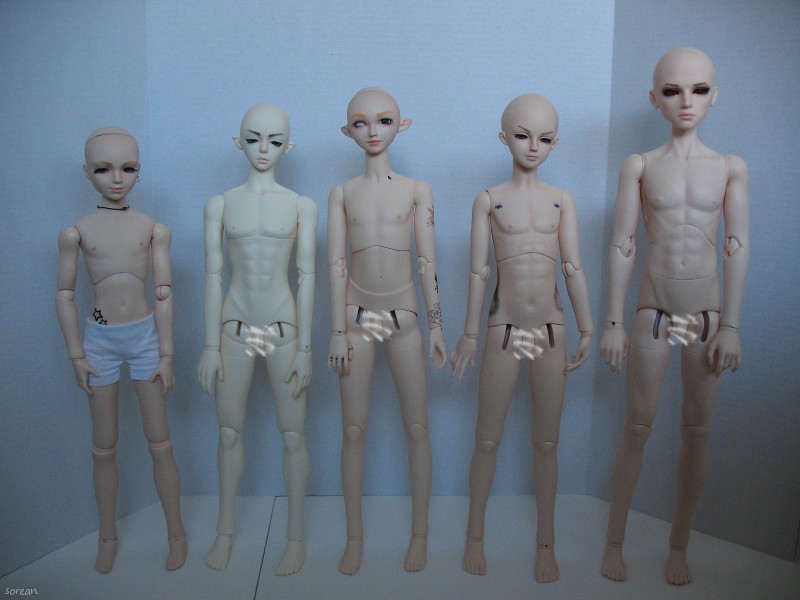 1/3 BJD Comparison From left to right Obitsu 55cm boy Imp… Flickr