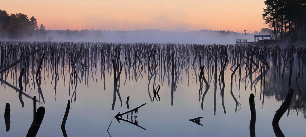 Kings Lake DeFuniak Springs FL Shaun Waite Flickr