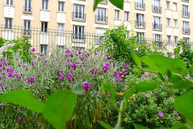 La Petite Ceinture - Paris Rive Gauche