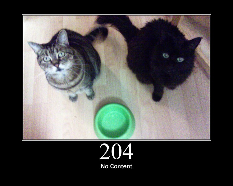 204 - No Content