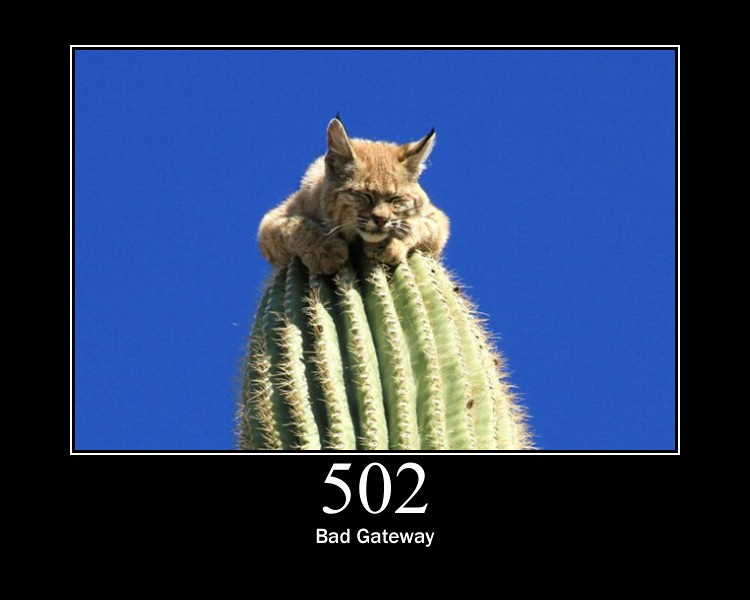 502 bad gateway браузер тор gydra