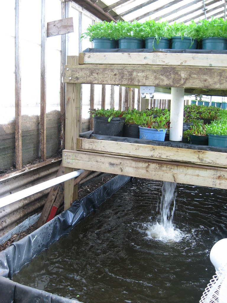 Growing Power Vertical Aquaponics system Water pumped up 