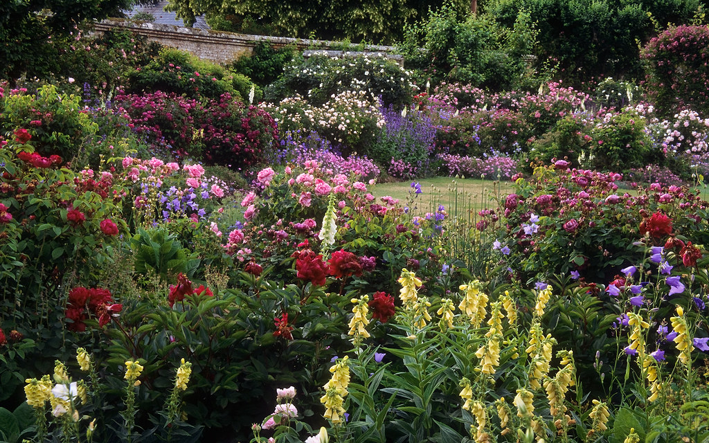 Mottisfont Abbey Rose Gardens, Hampshire, UK | The best ro… | Flickr