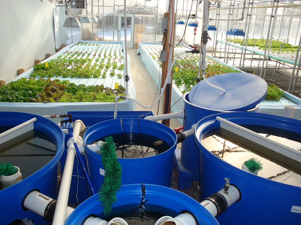 Nelson and Pade Clear Flow Aquaponics System permission 