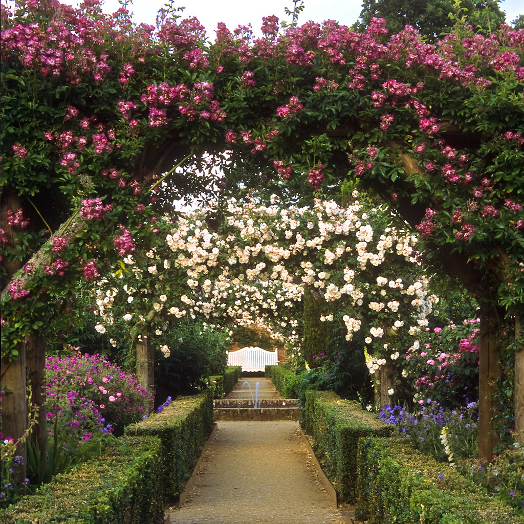 Mottisfont Abbey Rose Garden, Hampshire, UK | An outstandi… | Flickr