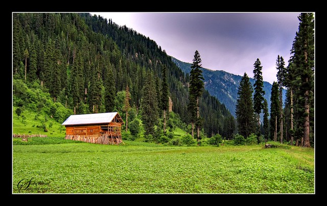Garden of Nature, (Neelum - Kashmir)