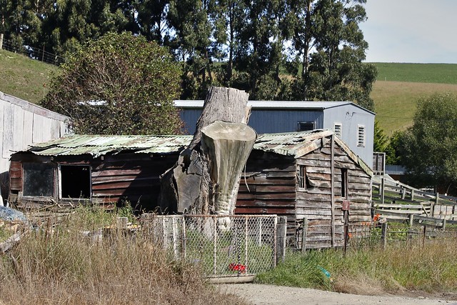 Old barn, Lawrence, Otago, New Zealand