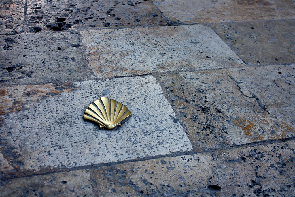 Brass shell on the camino aragonés