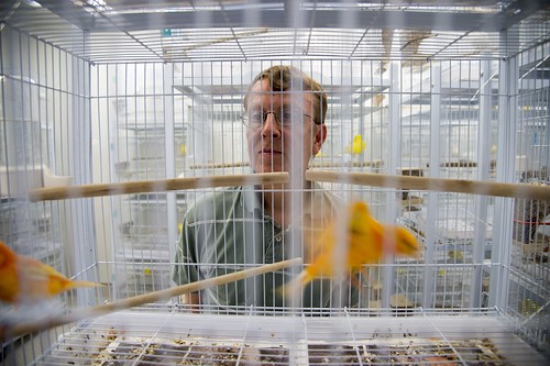 Geoff Hill looking through the bars of a bird cage